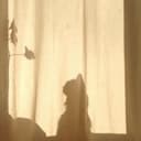 Foto Mena Salwa Nabila